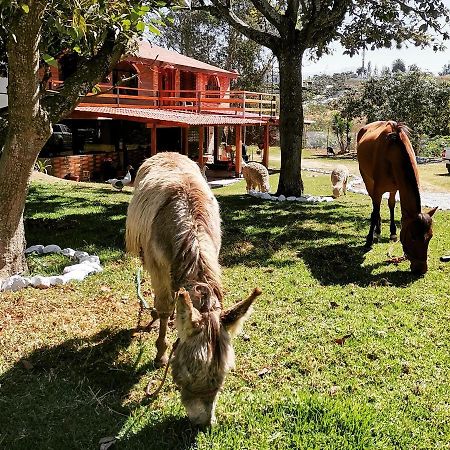 La Granja De Papa Alberto Puembo Exteriör bild